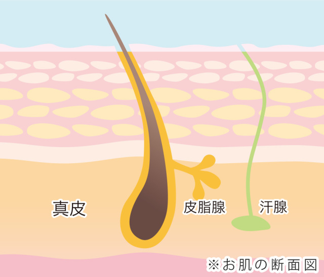 岩盤浴 効果 入り方 ダイエット