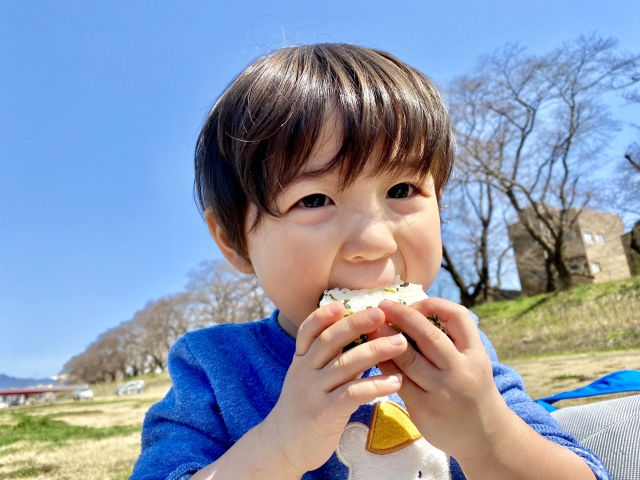 おにぎりの塩 岩塩