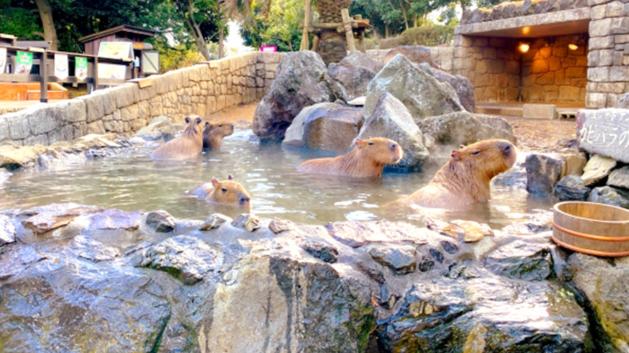 ヒマラヤ岩塩風呂