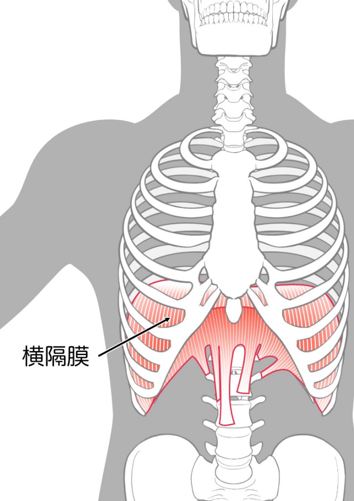 腹 式 呼吸 やり方 岩盤浴 バスソルト