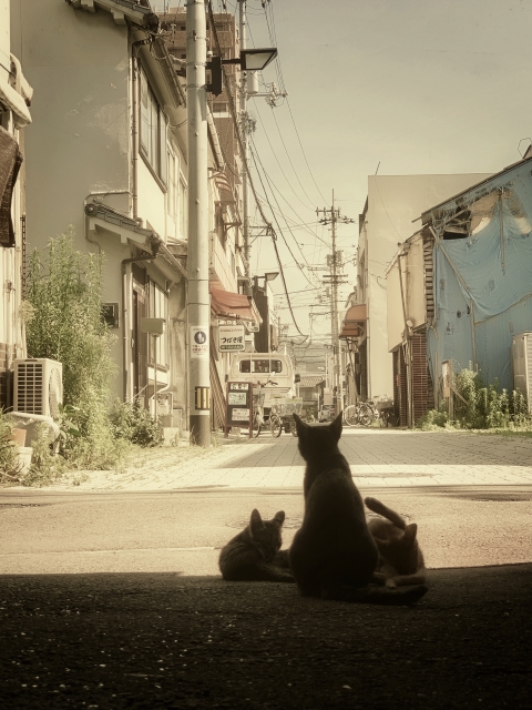 グラウンディング やり方