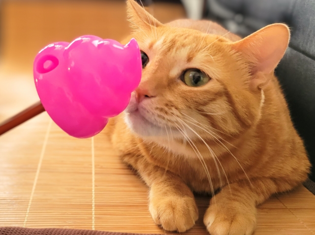 グラウンディング やり方