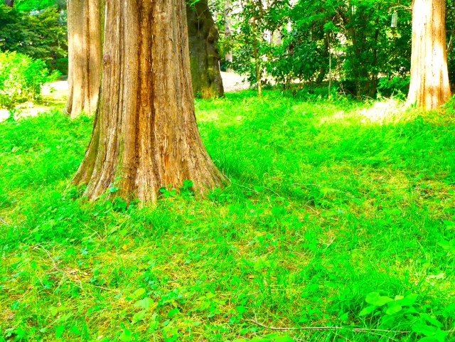 グラウンディング やり方