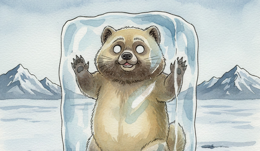 嫌 われる 勇気 アドラー 心理 学