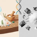 『体にいい塩』とは？悪い塩との違い・選び方・おすすめまで徹底解説