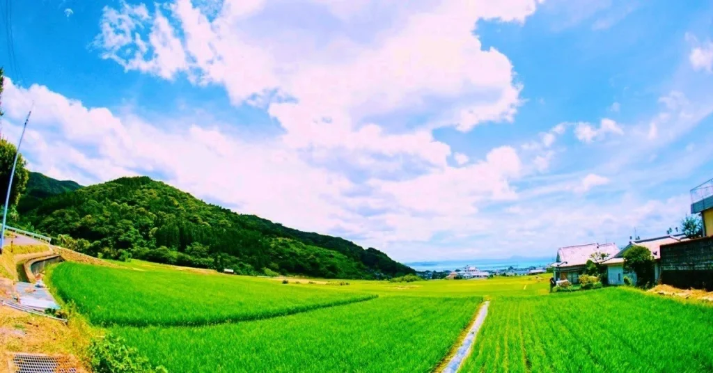 美味しい塩