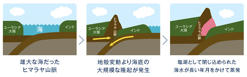 美味しい塩