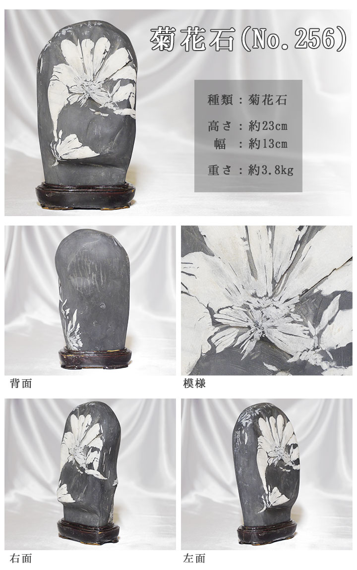 菊花石 No.256 【鑑賞用鉱石】高さ:約23cm 幅:約13cm 重さ:約3.8