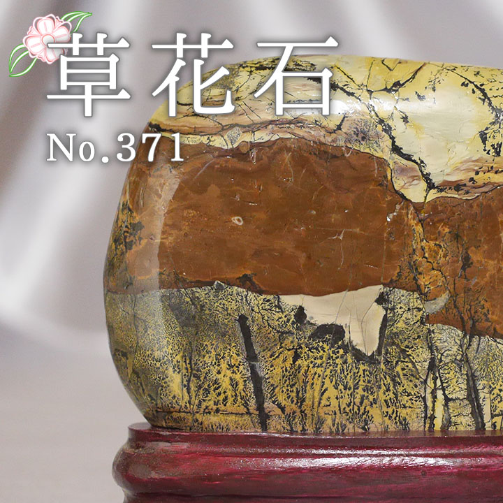【ピクチャーストーン】草花石No.371（観賞用鉱石）