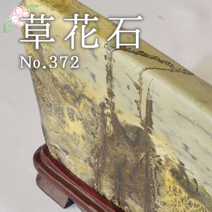【ピクチャーストーン】草花石No.372（観賞用鉱石）