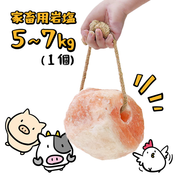 家畜用ヒマラヤ岩塩